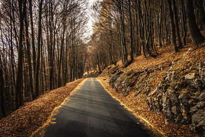 Road in the autumn landscape.