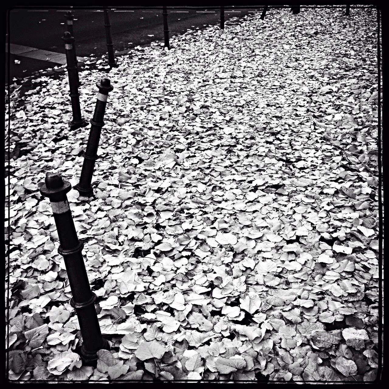 transfer print, auto post production filter, high angle view, water, metal, shadow, outdoors, sunlight, day, protection, no people, fence, nature, wood - material, chair, close-up, pattern, abundance, security, safety