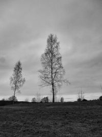 Bare trees on field against cloudy sky