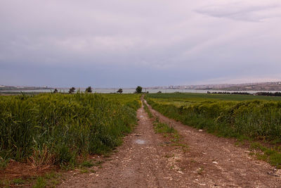 Road amidst grassy field against sky