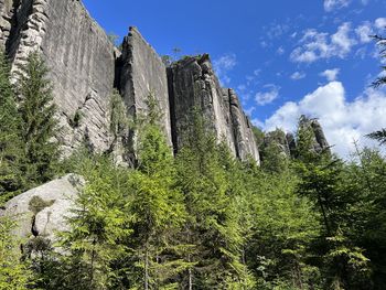 Panoramic view of trees against sky