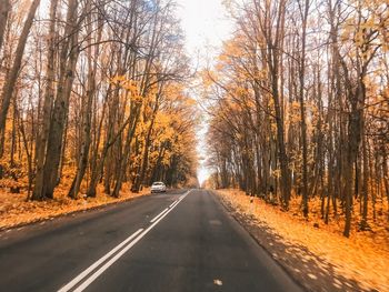 Road amidst trees in forest during autumn