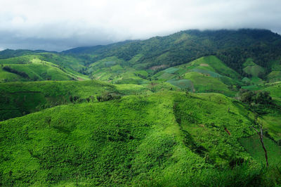 Scenic view of green landscape against sky