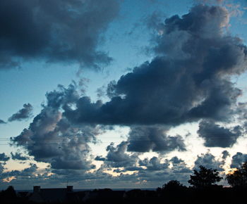 Silhouette trees against sky at night