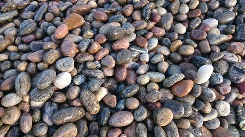 Full frame shot of coffee beans