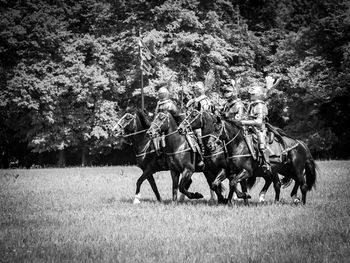 Horses on field against trees