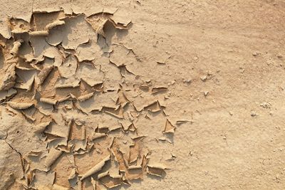 Full frame shot of weathered wall