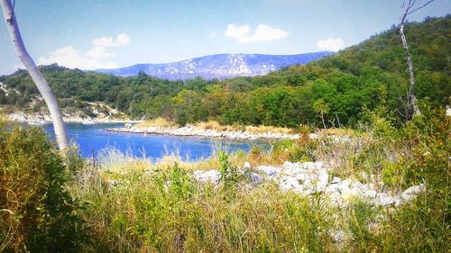 Scenic view of lake against sky