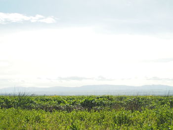 Scenic view of landscape against cloudy sky