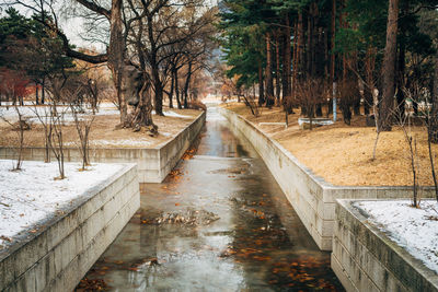Canal amidst trees in park during winter