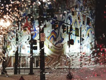 Close-up of multi colored leaves
