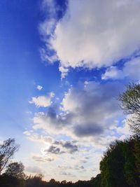 Low angle view of silhouette trees against blue sky