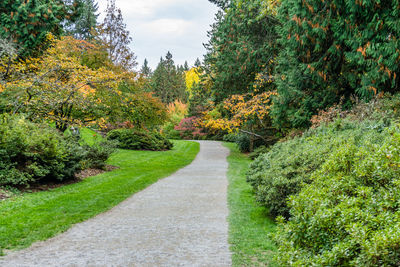 A path at the washington park arboretum in seattle. it is the fall season.