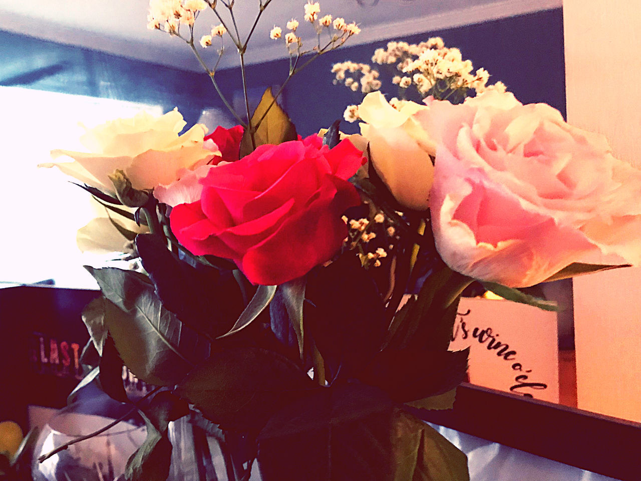 CLOSE-UP OF ROSES IN VASE ON PLANT