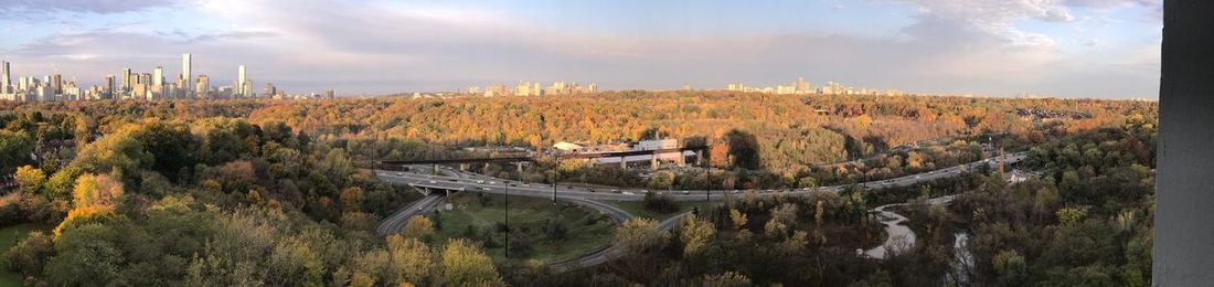 Panoramic view of trees against sky