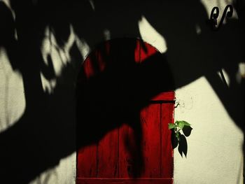 Close-up of red hair