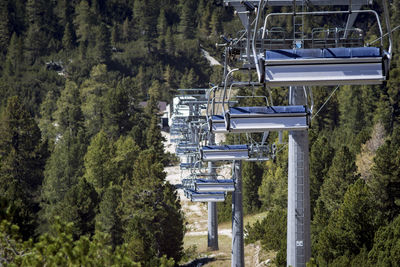 Overhead cable car in forest