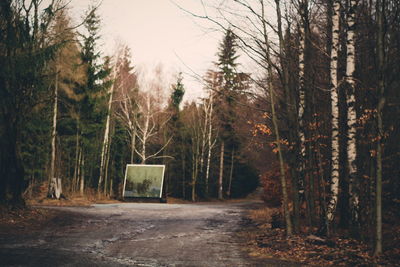 Dirt road amidst trees in forest