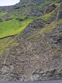terrain