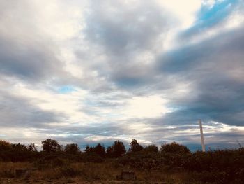 Trees on field against sky