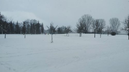 Bare trees on snow covered landscape