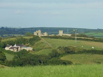 Scenic view of grassy field