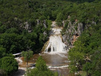 View of waterfall along trees