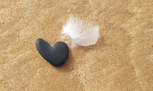 High angle view of heart shape on sand