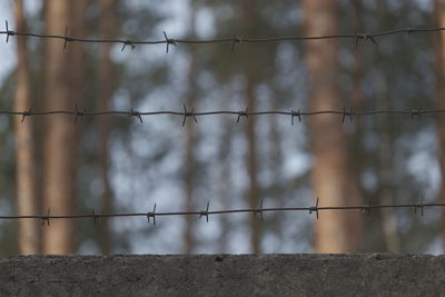 Close-up of fence against wall