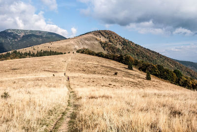 Scenic view of field and mountains against sky