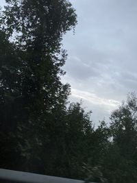 Low angle view of trees against sky
