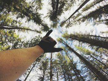 Low angle view of woman standing on tree