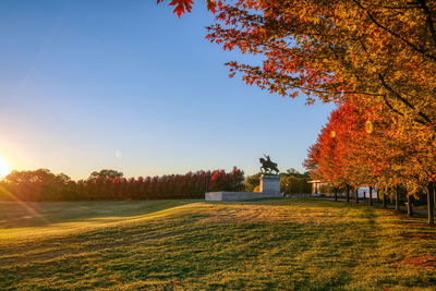 Trees on field against sky during autumn