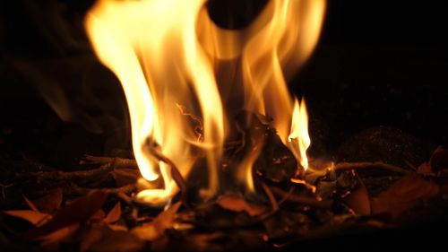 Close-up of fire in the dark