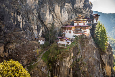 Panoramic view of trees and rocks