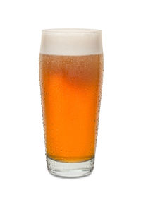 Close-up of beer glass against white background