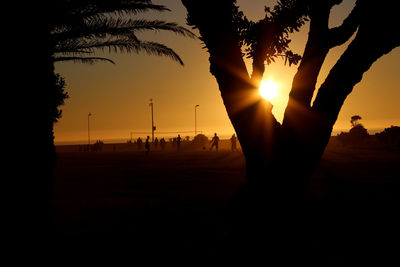 Sun shining through trees