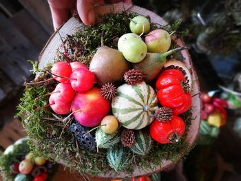 High angle view of person holding fruits