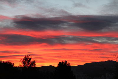 Silhouette of trees against sky at sunset