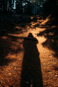 Long shadow of person standing in forest.