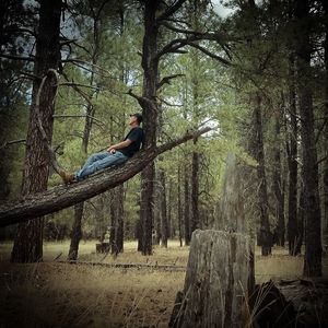 Man sitting on tree trunk in forest