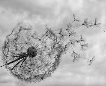 Low angle view of bare tree against cloudy sky