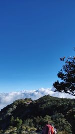 Rear view of people on mountain against blue sky