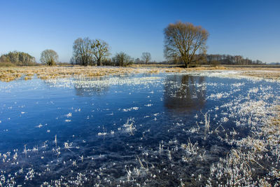 Scenic view of lake against clear sky during winter