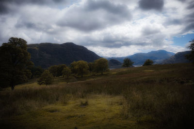 Scenic view of landscape against sky