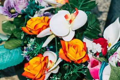 High angle view of multi colored roses on plant