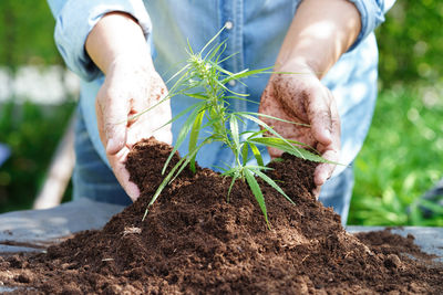 Midsection of woman holding plant