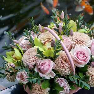 Close-up of pink roses on plant