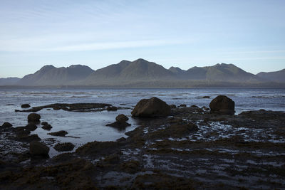 Rocks on shore by sea against sky