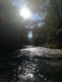 Scenic view of river amidst trees against sky